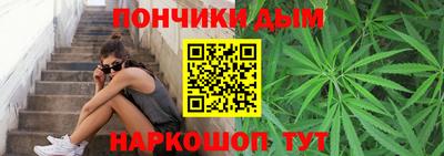 амф Дубна