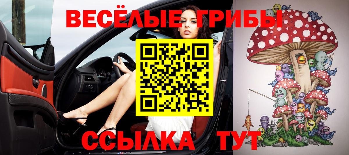 Галлюциногенные грибы Psilocybe  Псилоцибиновые грибы прущие грибы  Вход с VPN  Лангепас 